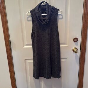 Express Sleeveless Dress